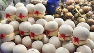 La stratégie provinciale repose sur l'attraction des investissements pour une transformation profonde.