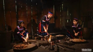 Les Thuy – une empreinte unique sur la carte ethnographique du Vietnam