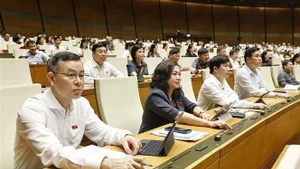 Les députés votent l'adoption de la résolution. Photo : VNA.