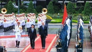 Les deux présidents vietnamien et lituanien, Luong Cuong et Gitanas Nauseda. Photo : VNA.