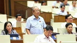 Le député Nguyen Van Than, province de Thai Binh (Nord). Photo : VNA.