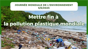 Mettre fin à la pollution plastique mondiale