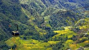 Les médias japonais fascinés par l’ascension du Fansipan en téléphérique.