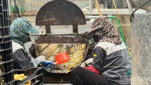 La production des entreprises est restée stable. (Photo : HNV)