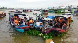 Au fil du marché flottant, admirer l’aube de Tay Do