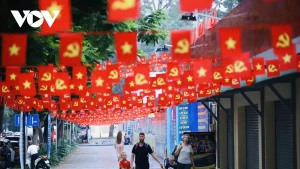 Ho Chi Minh-Ville se pare de couleurs pour le XIVe Congrès du Parti et le printemps