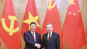 Le secrétaire général du Parti communiste du Vietnam, Tô Lâm (à droite), et le secrétaire général du Parti communiste chinois et président chinois, Xi Jinping, se serrent la main. Photo : VNA.