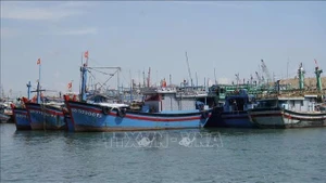 Des bateaux de pêche sont ancrés au port de pêche du quartier de Quy Nhon, province de Gia Lai. Photo : VNA.