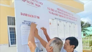 Des électeurs consultent les informations concernant les candidats à la XVIe Assemblée nationale et aux conseils populaires à tous les niveaux pour le mandat 2026-2031. Photo : VNA.