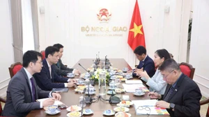 Le vice-ministre Dang Hoang Giang travaille avec la Coordonnatrice résidente des Nations Unies au Vietnam, Pauline Tamesis