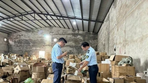 Des agents de la gestion du marché de Quang Ninh inspectent un entrepôt suspect. Photo : VNA.