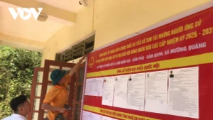 Nghe An : 55 zones reculées organisent des élections anticipées