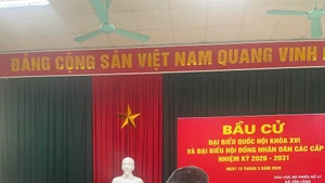 Les images émouvantes des électeurs âgés se rendant aux urnes avec leurs cannes à Yen Lang, Hanoi