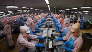 Photo d'illustration : VNA.