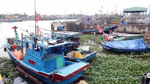 Da Nang restructure sa flotte de pêche pour protéger les ressources côtières. Photo : VNA.