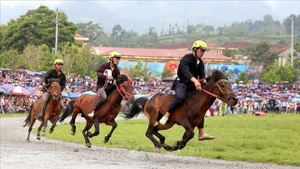 Course hippique lors de la finale du Tournoi élargi de courses de chevaux traditionnelles de Bắc Hà (Lào Cai). Photo : VNA.