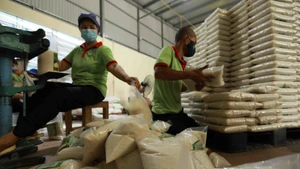 Conditionnement du riz pour l'exportation. Photo : VNA/CVN.