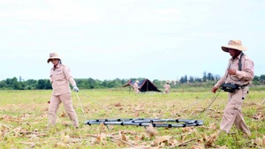 Dépollution des terres contaminées par la dioxine. Photo: VNA
