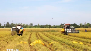 Des politiques de rupture, mises en œuvre avec célérité, nourrissent de fortes attentes de la population quant à une amélioration de la qualité de vie. Photo : VNA