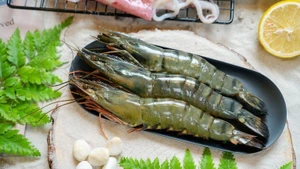 Le Vietnam consolide sa position parmi les principaux exportateurs de crevettes vers la Chine. Photo d'illustration/congthuong