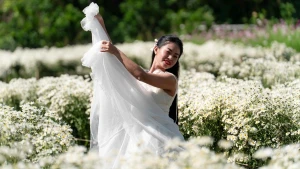 À Hanoi, les marguerites blanches en pleine floraison séduisent les amateurs de photos