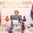 Le Hoai Trung, membre du Bureau politique et ministre des Affaires étrangères lors de la réunion en ligne. Photo : VNA