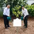 Le secrétaire général du Parti communiste du Vietnam et président de la République To Lam et le Premier ministre Lawrence Wong plantent un arbre au Jardin botanique de Singapour. Photo : VNA.