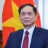 Le comité sera présidé par le vice-Premier ministre et ministre des Affaires étrangères, Bui Thanh Son. Photo : VGP.