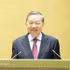 Le président du Comité central de pilotage pour les affaires étrangères et l’intégration internationale, To Lam. Photo : VNA