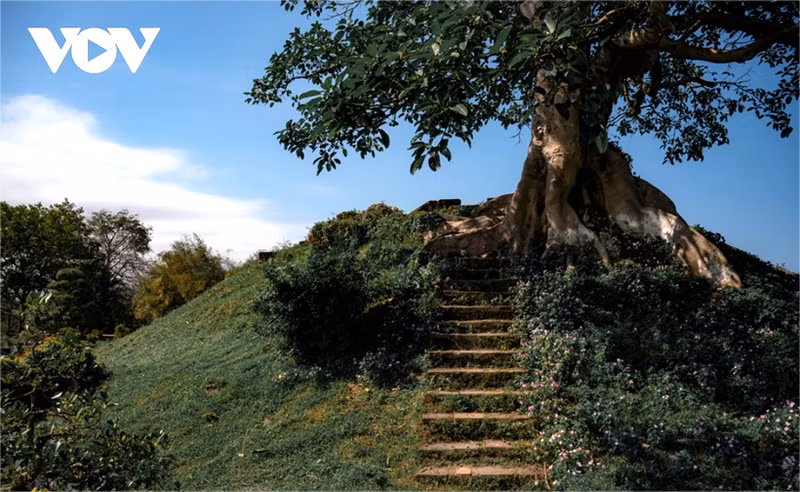 Jardin Co Ha, un espace paysager emblématique de la dynastie Nguyen ảnh 7