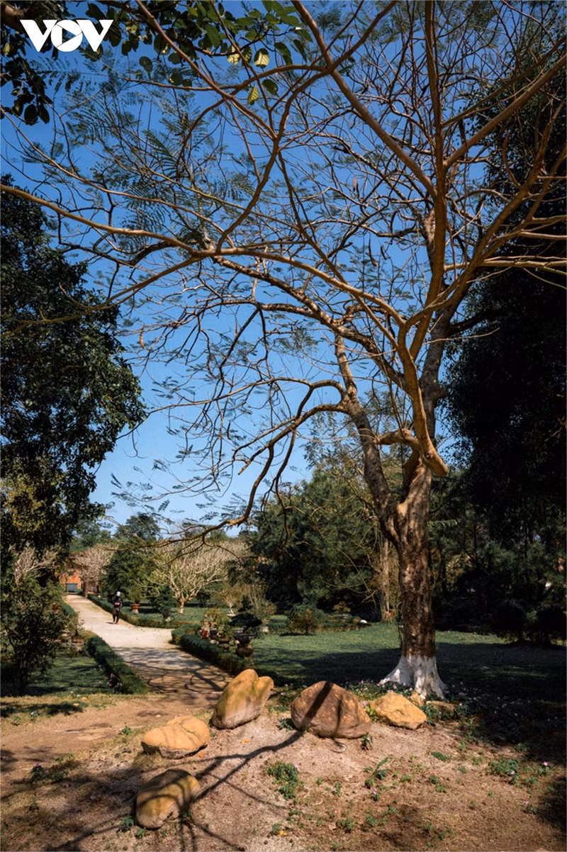 Le nom Co Ha signifie la paix et la tranquillité dans toutes les circonstances. Les empereurs de la dynastie des Nguyen créaient des jardins principalement dans le but de se reposer, de se promener et de contempler le paysage. Photo : VOV.