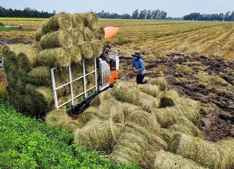 L’agriculture circulaire est une solution efficace pour réduire les coûts et accroître la rentabilité. Photo: VGP.