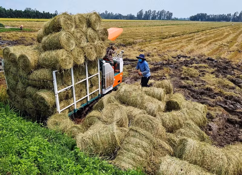 L’agriculture circulaire est une solution efficace pour réduire les coûts et accroître la rentabilité. Photo: VGP.
