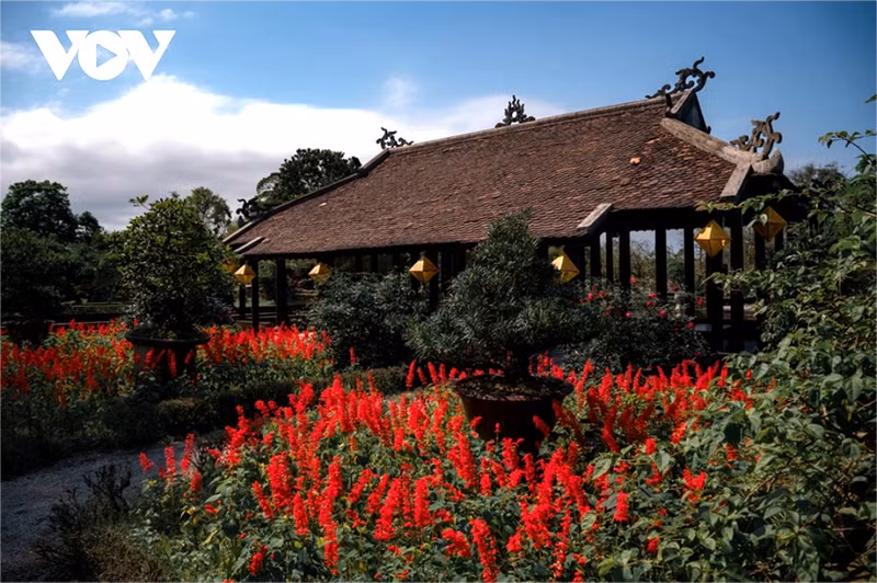 Jardin Co Ha, un espace paysager emblématique de la dynastie Nguyen ảnh 6