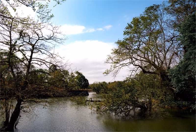 Jardin Co Ha, un espace paysager emblématique de la dynastie Nguyen ảnh 11