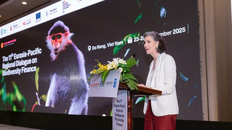 Ramla Khalidi, représentante résidente du PNUD au Vietnam, prend la parole lors de l’événement. Photo : NDEL Ramla Khalidi, représentante résidente du PNUD au Vietnam, prend la parole lors de l’événement. Photo : NDEL
