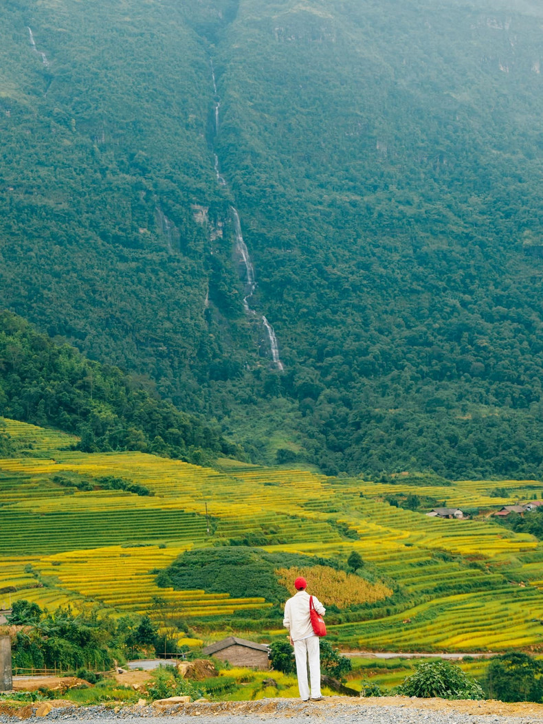 De fin septembre au début du mois d’octobre, les rizières virent au jaune vif. C’est le meilleur moment pour admirer la beauté époustouflante du riz mûr. À mesure que les rizières en terrasses mûrissent, cette région se drape dans une couverture colorée changeante jour après jour. Les parcelles de rizières dorées sont encore plus miraculeuses lorsque les nuages flottent paisiblement dans le ciel. Photo : Pham Trong Nghia/laodong.vn