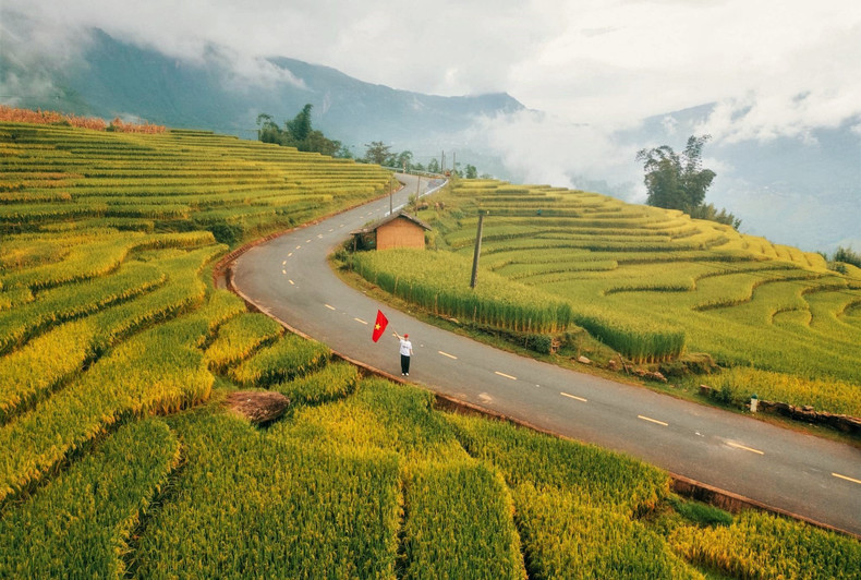 Les terres du Nord-Ouest séduisent tous ceux qui s’y rendent, ils restent fascinés pour toujours. À la saison des récoltes, le jaune doré des rizières recouvre tout, des versants des montagnes jusqu’au fleuve Rouge. La route d’or formée par le riz mature ondule autour des pentes et des montagnes, à perte de vue. Photo : Pham Trong Nghia/laodong.vn