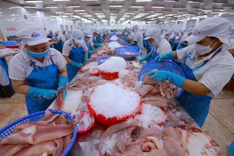 Les États-Unis figurent parmi les principaux marchés qui consomment le plus de pangasius vietnamien. ca.jpg