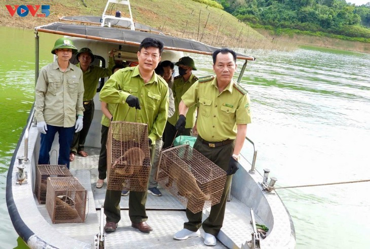 Le personnel du parc relâche des animaux soignés dans la nature. Photo: VOV Le personnel du parc relâche des animaux soignés dans la nature. Photo: VOV