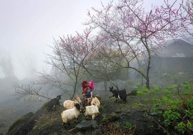 La beauté naturelle et le mode de vie des habitants du plateau rocheux exercent un attrait particulier chez les touristes vietnamiens et étrangers. (Photo : CTV/Vietnam+)