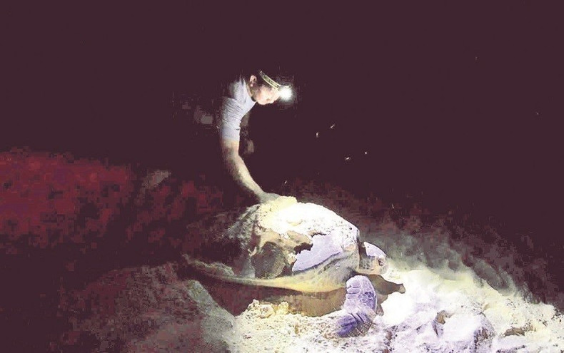 En raison du comportement des tortues marines, qui généralement ne pondent que dans l'obscurité, les gardes forestiers doivent rester éveillés toute la nuit pendant la saison de nidification, pour protéger les œufs de tortues des marées ou des prédateurs. Photo : NDEL nuit.jpg