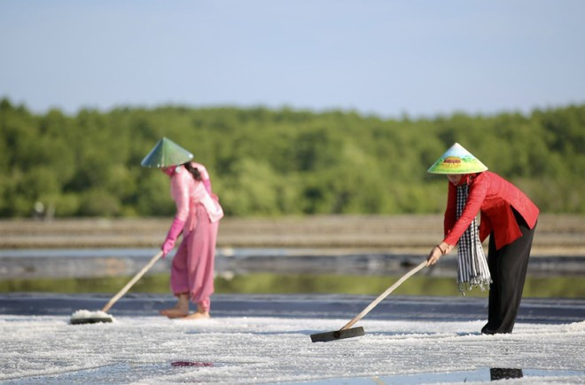 Les touristes ont la possibilité de découvrir la fabrication du sel à Thieng Lieng. Photo : VNA. Les touristes ont la possibilité de découvrir la fabrication du sel à Thieng Lieng. Photo : VNA.