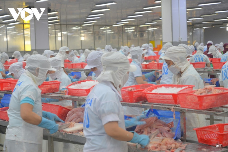 La transition verte n'est plus une option mais une obligation. Dans le contexte de restructuration mondiale des chaînes d'approvisionnement, les entreprises doivent faire preuve d'initiative, d'innovation et investir dans des modèles de production-consommation-recyclage circulaires. Photo : VOV