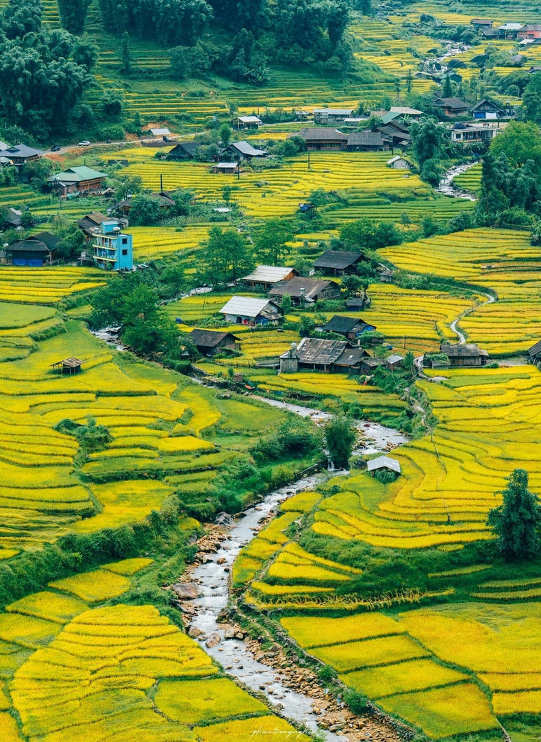 Sa Pa propose aussi des cafés situés au bord des rizières en terrasses, où les visiteurs peuvent savourer le parfum du riz tout en dégustant un café corsé dans la brume matinale. Un privilège que toutes les régions ne peuvent offrir. Photo : Pham Trong Nghia/laodong.vn