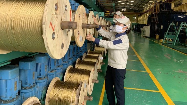 Il est essentiel de garantir que l’intégration internationale ne profite pas seulement aux grandes entreprises, mais qu’elle offre aussi des perspectives concrètes aux PME, véritables moteurs de l’innovation et du développement durable. Photo : NDEL