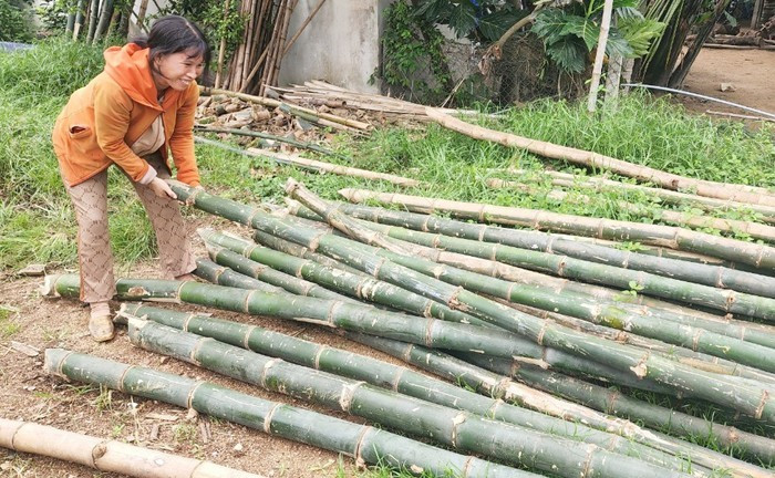 Le bambou est le matériau principal utilisé pour la fabrication de ces embarcations. Photo: VNA