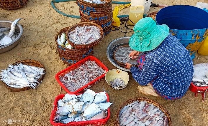 Les fruits de mer sur le marché sont variés, presque tous les types sont disponibles, petit vivaneau, pompano, mulet, anchois, thon au flétan, poisson ruban banque et toutes sortes de crevettes, crabe et crabe fleuris. Photo : vnexpress Les fruits de mer sur le marché sont variés, presque tous les types sont disponibles, petit vivaneau, pompano, mulet, anchois, thon au flétan, poisson ruban banque et toutes sortes de crevettes, crabe et crabe fleuris. Photo : vnexpress
