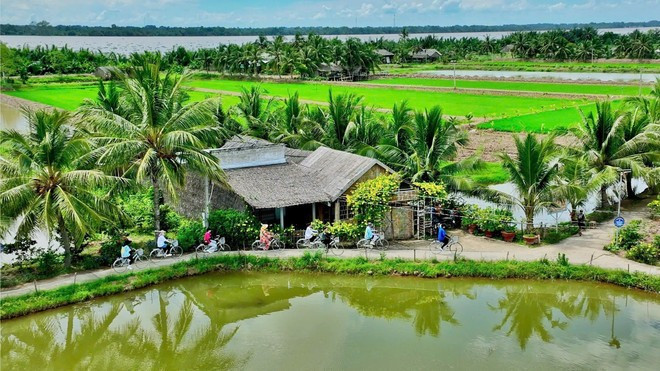 Espace vert sur le site touristique communautaire de Con Chim (Chau Thanh, Tra Vinh). Photo : VNA Espace vert sur le site touristique communautaire de Con Chim (Chau Thanh, Tra Vinh). Photo : VNA