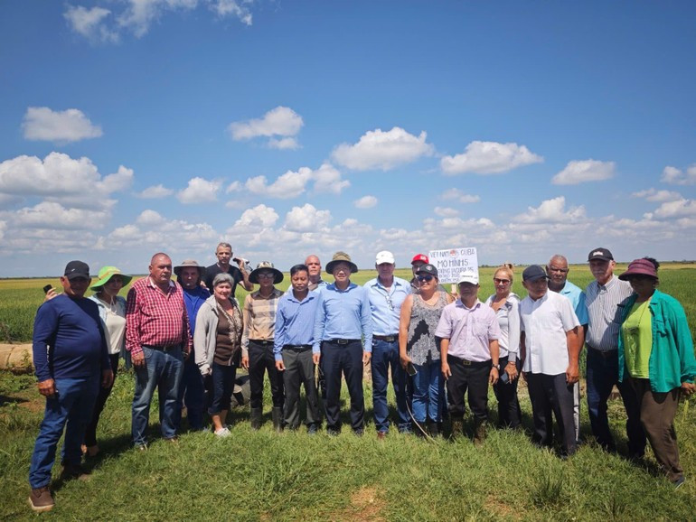 Soulignant l’importance du projet de coopération Vietnam – Cuba dans la riziculture, l'ambassadeur Le Quang Long a affirmé que ce modèle de coopération ouvrirait de belles perspectives pour le développement de la filière du riz de Cuba. Photo : Ambassade du Vietnam à Cuba. cuba3.jpg